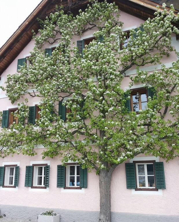 Apartment Luise Hallstatt Kamer foto